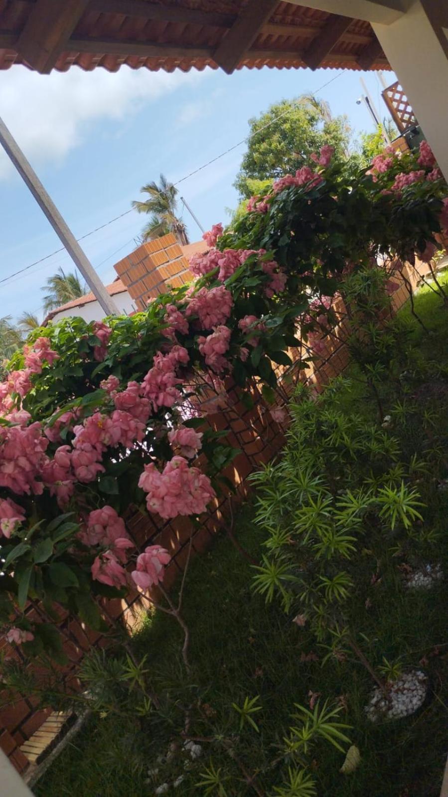 Pousada Dos Lagos Paulino Neves ภายนอก รูปภาพ